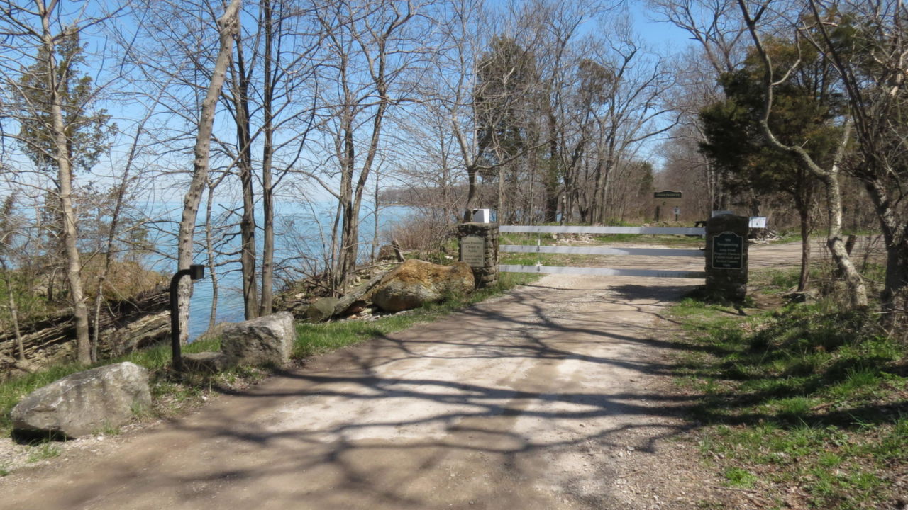 Long Point Shoreline