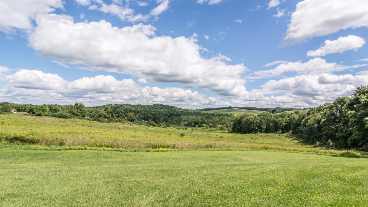 View from Front Porch