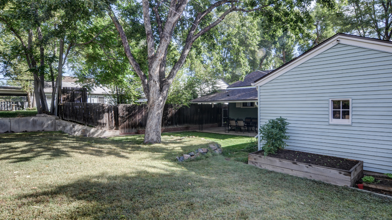 Backyard 2