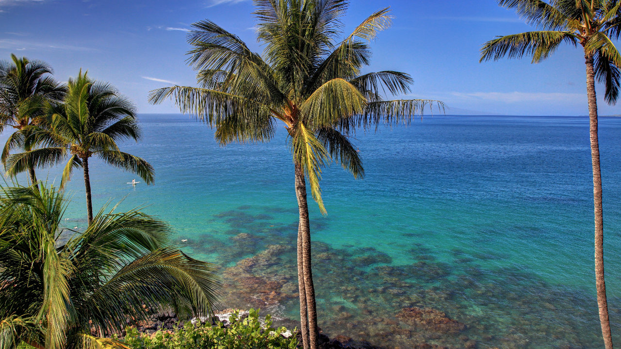 Overlooking Snorkel Reef
