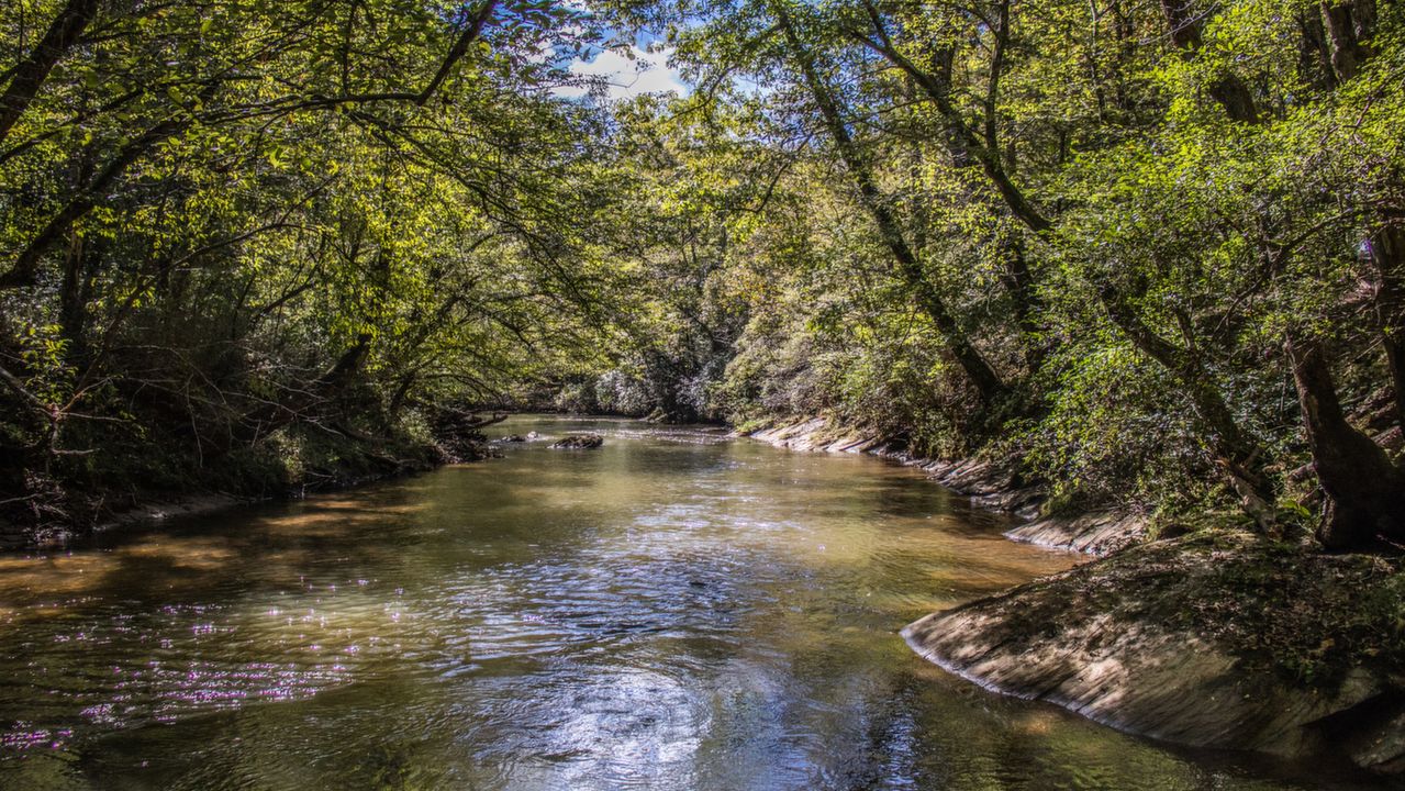 2000 Lawrence Rd, Dawsonville, GA, 30534 Scene 4