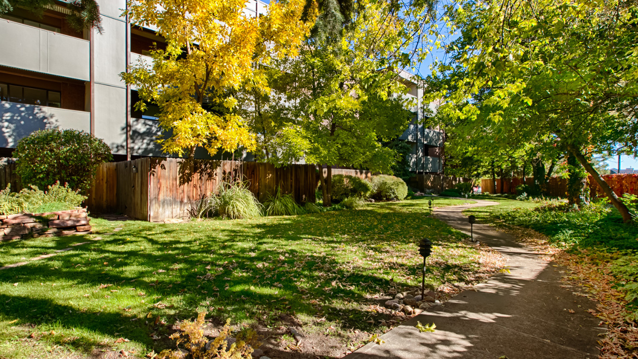 Mature Landscaping