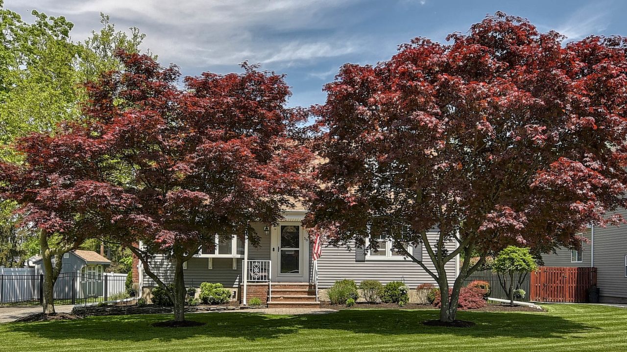 Front_2