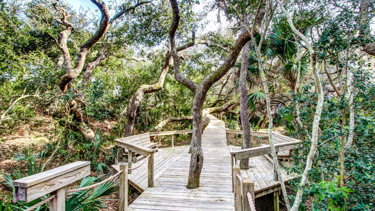 1135 Beach Walker, Amelia Island, FL, 32034 Scene 3