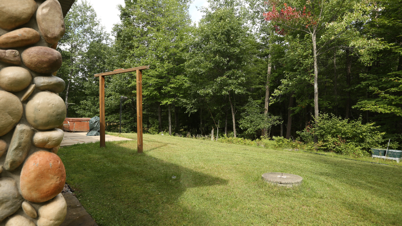BackyardB26A2887