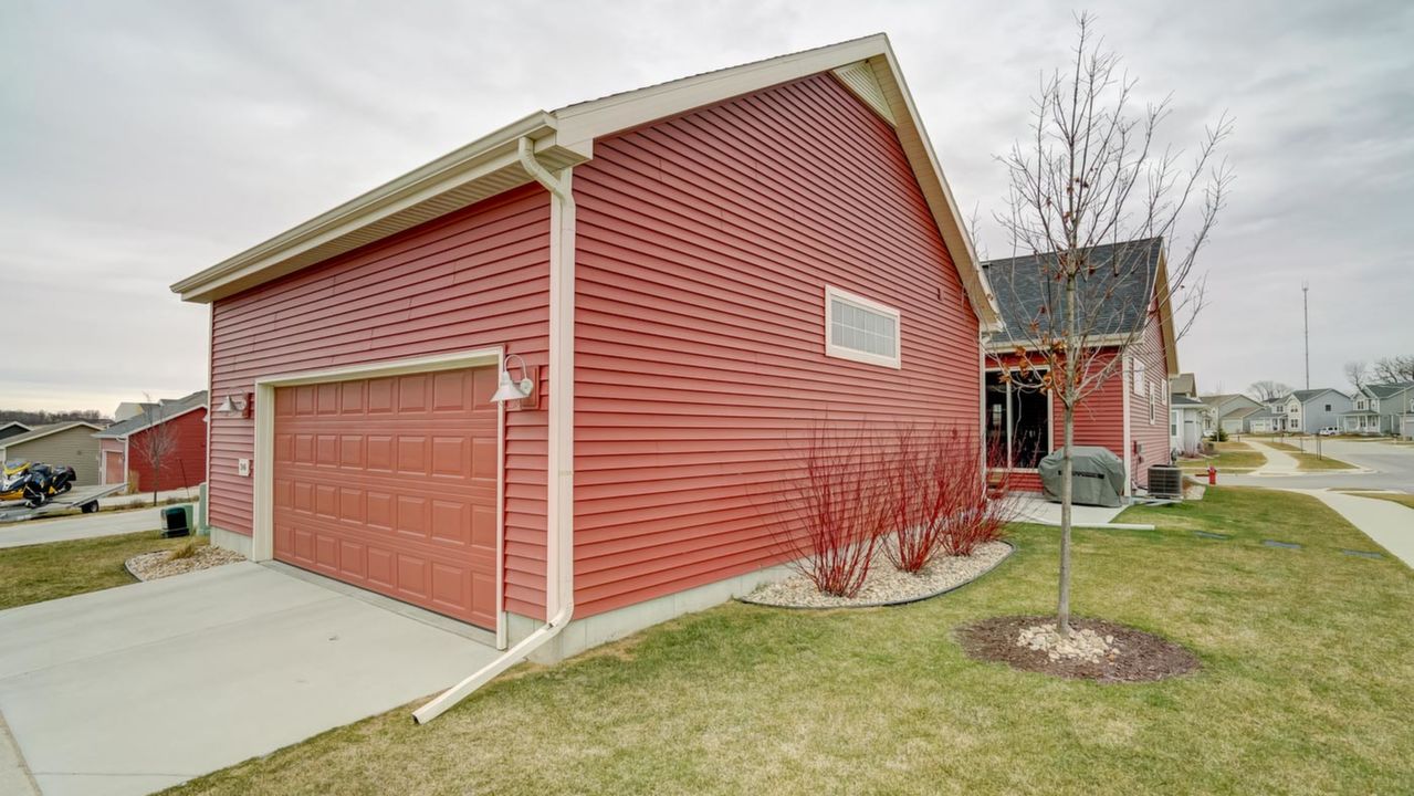 246 Blooming Leaf-50