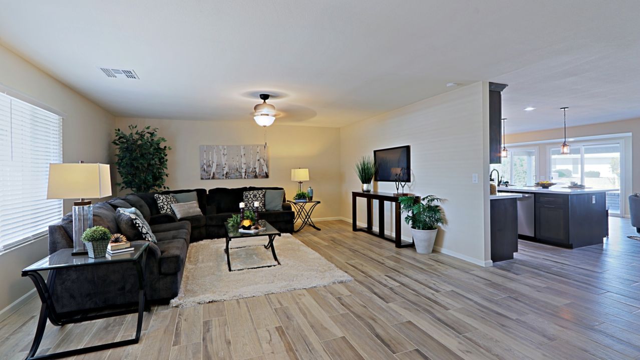 Living Room and Kitchen