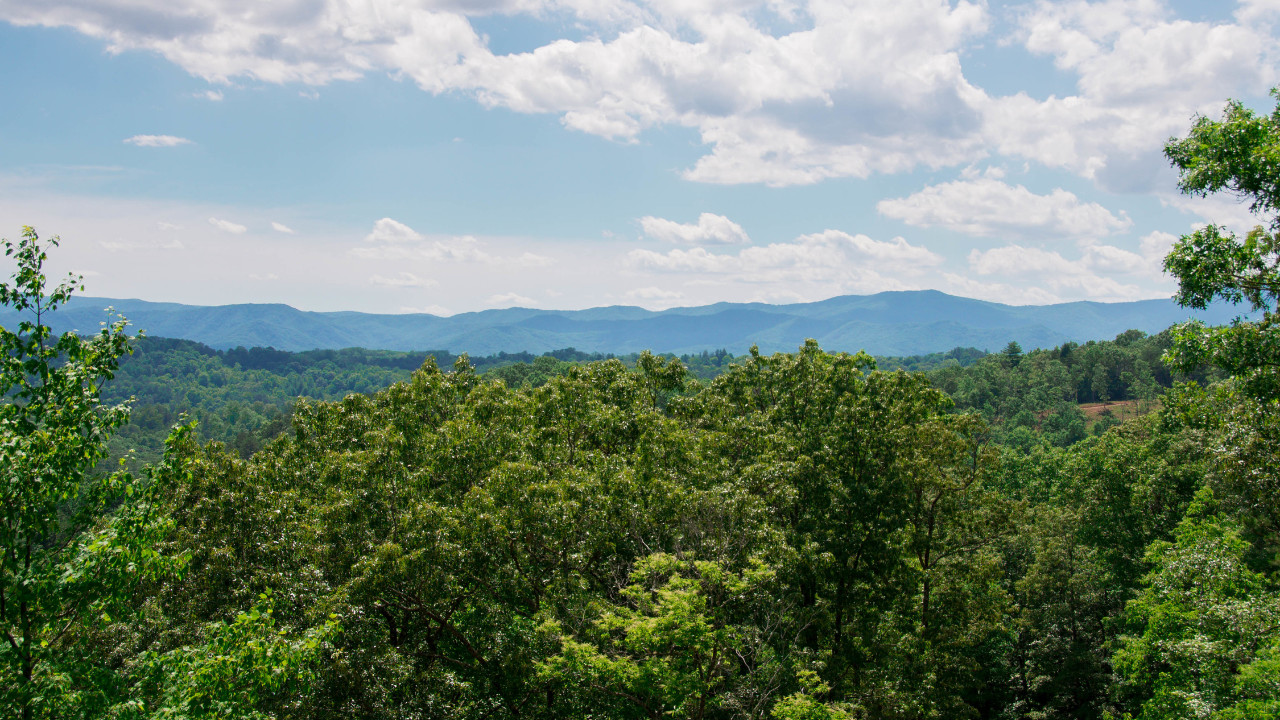 246 S Williamstown Rd, Mineral Bluff, GA, 30559 Scene 4