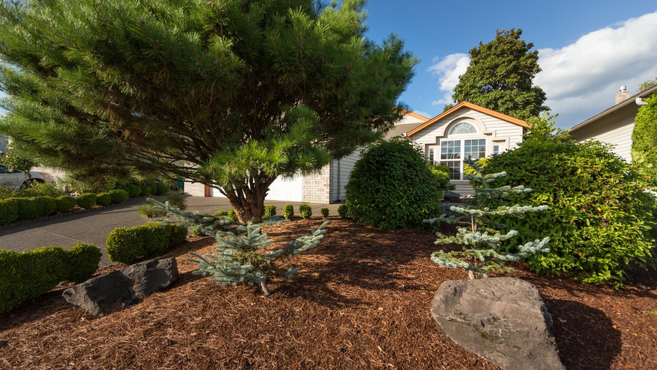 15112 SE 35th St.,, Vancouver, WA, 98683 Scene 2