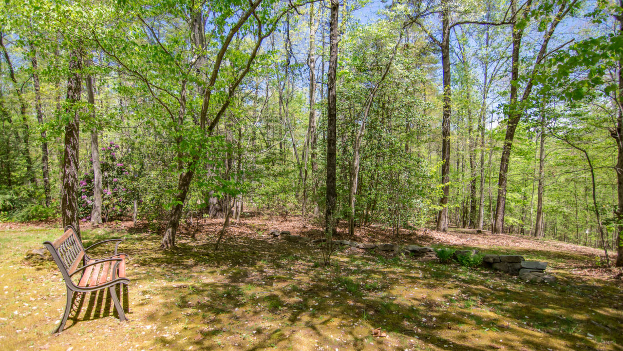 380 Dockery Lane, Mineral Bluff, GA, 30559 Scene 4