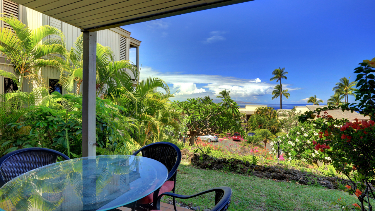 Lanai view 2