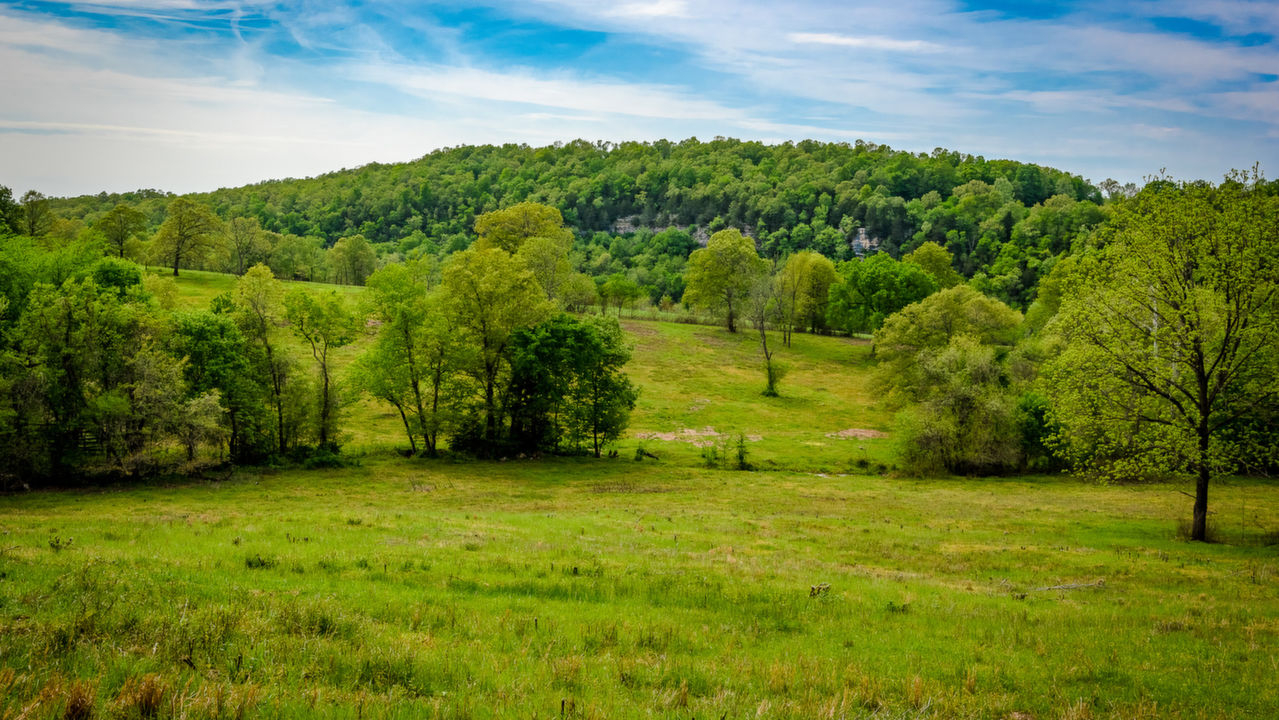 Crooked Creek, Pyatt, AR, 72672 Scene 1