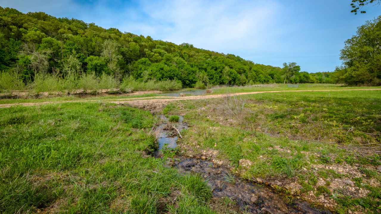 Crooked Creek, Pyatt, AR, 72672 Scene 2