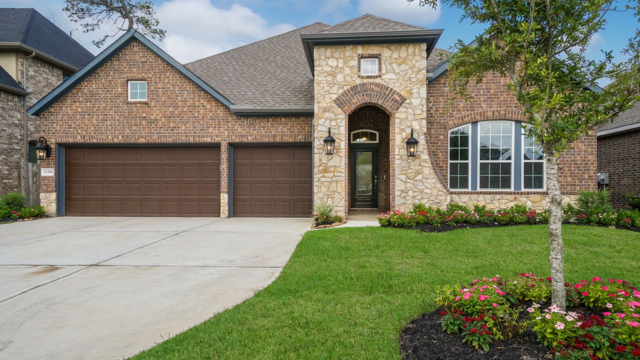 31296NewForestPark_001