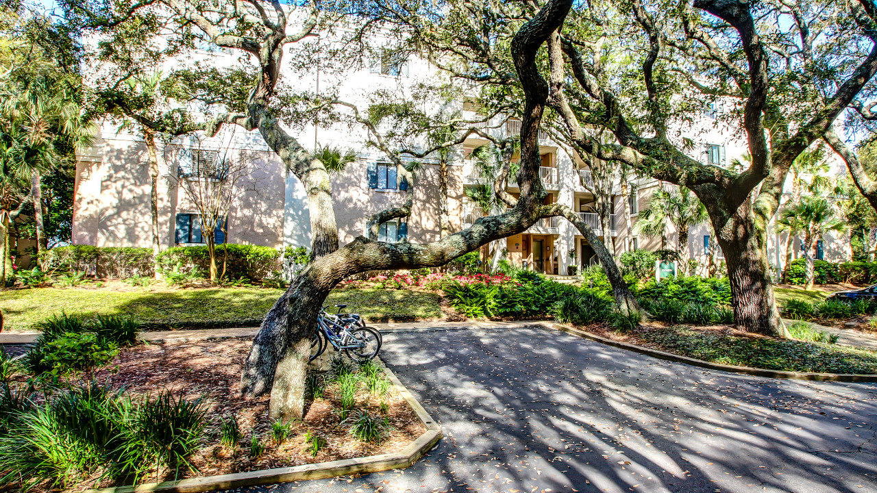 2010 Beachwood, Amelia Island, FL, 32034 Scene 3