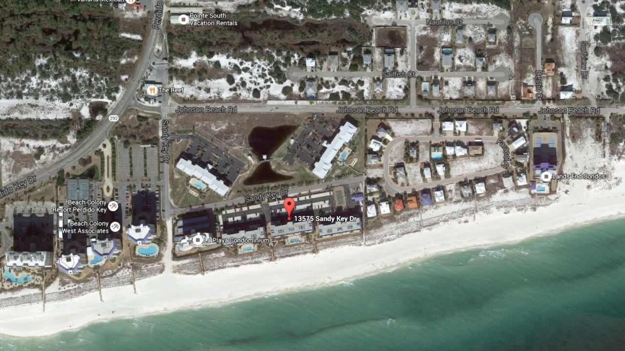 Google View