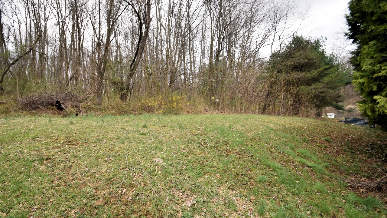 208 Oak St, Bechtelsville, PA, 19505 Scene 4