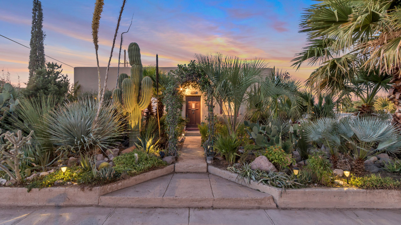 330 Van Patten, Las Cruces, NM, 88005 Scene 1