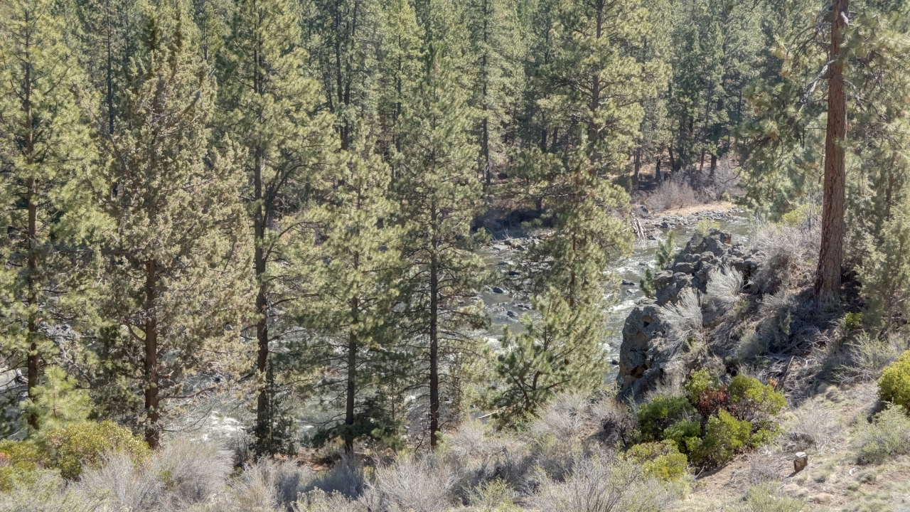 Deschutes River Views