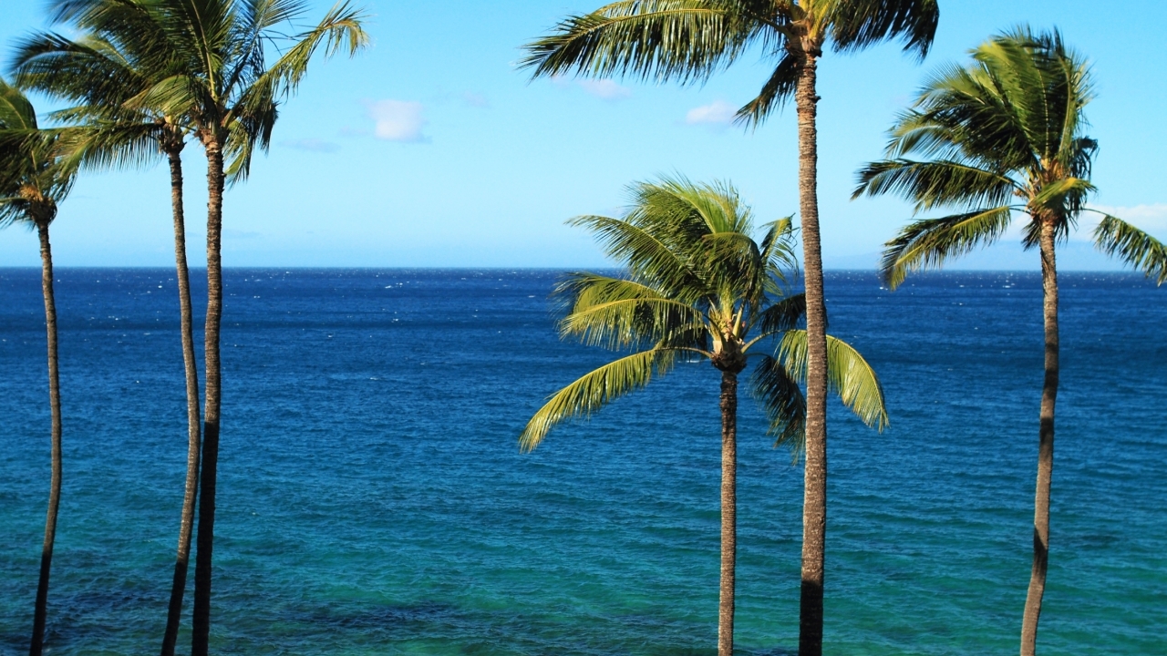 South Maui Ocean View