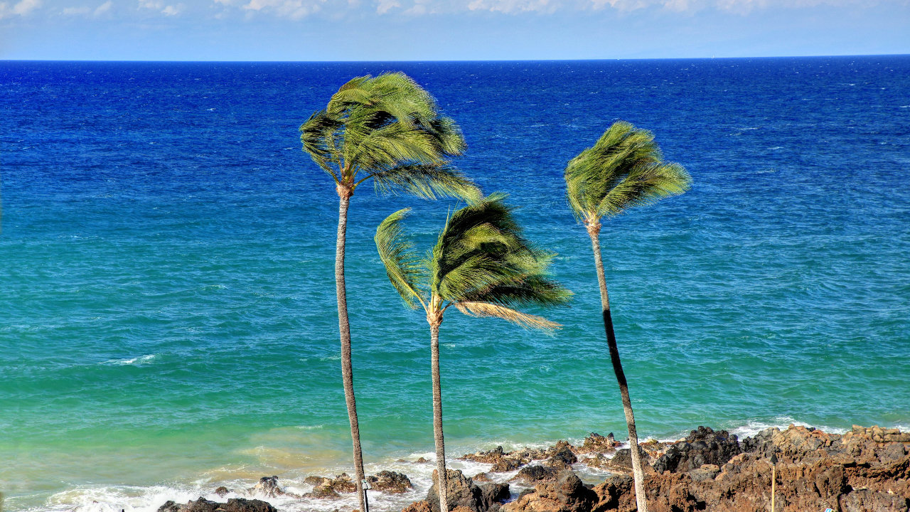Ocean View