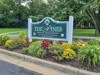 The Pines