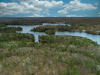 Aerial View 1