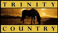 Trinity Country Real Estate, LLC Logo