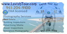 Lavish Tour Logo