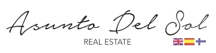 Asunto del Sol Logo
